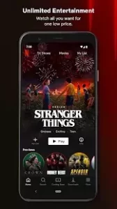Netflix MOD PC Latest Version 2022 Free Download 1