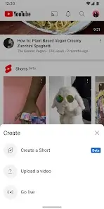 YouTube Blue Apk 2023 – Free Download the Latest Version 3