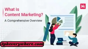 Understanding Marketing Channels: A Comprehensive Overview